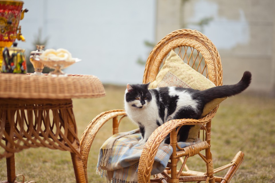 Patio Furniture Cleaning - When to do it