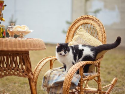 Patio Furniture Cleaning - When to do it